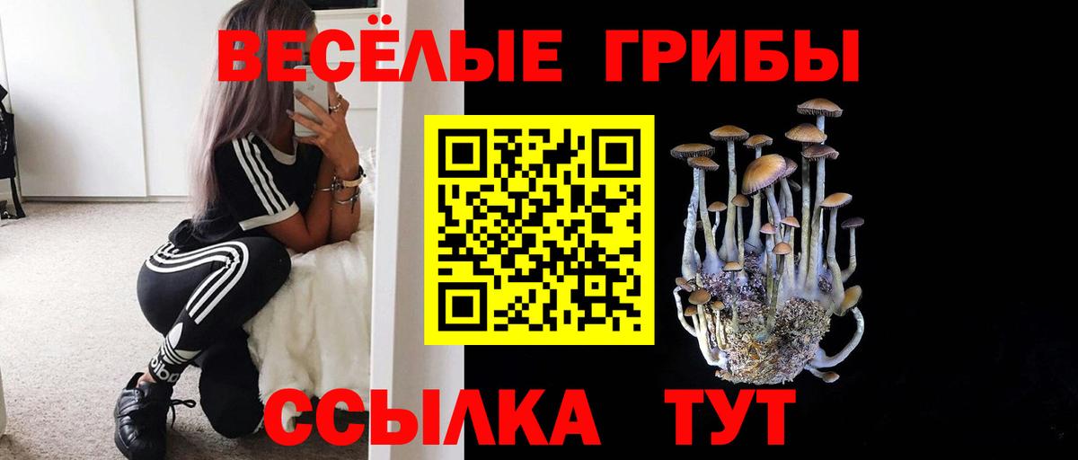 Псилоцибиновые грибы MAGIC MUSHROOMS  Псилоцибиновые грибы GOLDEN TEACHER  Вход с VPN  Губаха 